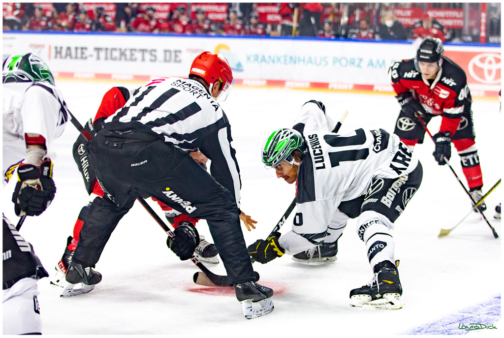 PENNY DEL;  Koelner Haie - Krefeld Pinguins; Koeln, 31.10.2021